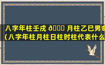 八字年柱壬戌 🐅 月柱乙巳男命（八字年柱月柱日柱时柱代表什么意思）